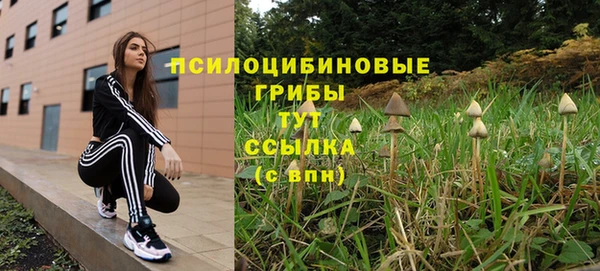 хмурый Майский